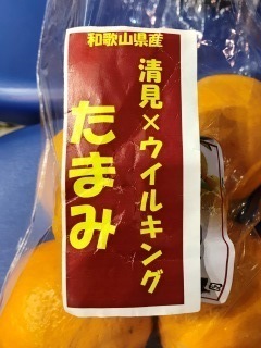 H300215a.jpg