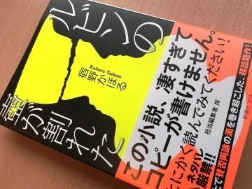 H300303.jpg